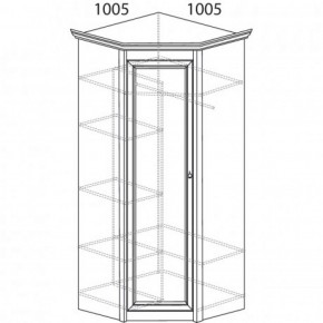Шкаф угловой №662 "Флоренция" Фасад глухой (угол 1005*1005) Дуб оксфорд в Нягани - nyagan.ok-mebel.com | фото 3