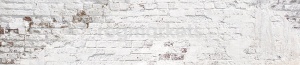 Стеновая панель SP291 глянец в Нягани - nyagan.ok-mebel.com | фото 1