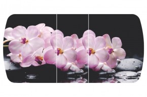 Стол Бостон-3 (Розовая Орхидея) 1100/1420*700, опора Брифинг в Нягани - nyagan.ok-mebel.com | фото 2