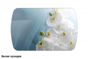 Стол Бостон 900*600 (опоры Брифинг) Стекло/фотопечать Белая Орхидея в Нягани - nyagan.ok-mebel.com | фото