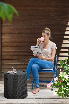 Столик-холодильник Кул-Стул (Cool stool) графит в Нягани - nyagan.ok-mebel.com | фото