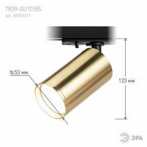 Светильник на штанге Эра  TR39-GU10 BS в Нягани - nyagan.ok-mebel.com | фото 6