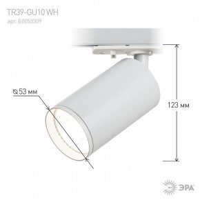 Светильник на штанге Эра  TR39-GU10 WH в Нягани - nyagan.ok-mebel.com | фото 7