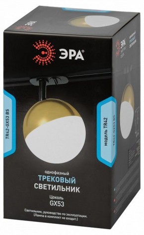 Светильник на штанге Эра  TR42-GX53 BS в Нягани - nyagan.ok-mebel.com | фото 6
