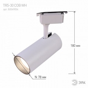 Светильник на штанге Эра  TR5-30 COB WH в Нягани - nyagan.ok-mebel.com | фото 6