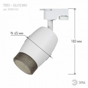 Светильник на штанге Эра  TR51 - GU10 WH в Нягани - nyagan.ok-mebel.com | фото 4