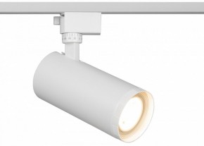 Светильник на штанге Эра  TR59 - 3030 WH в Нягани - nyagan.ok-mebel.com | фото