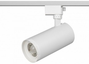Светильник на штанге Эра  TR59 - 3030 WH в Нягани - nyagan.ok-mebel.com | фото 2