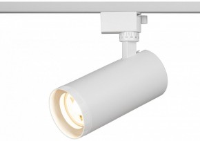 Светильник на штанге Эра  TR59 - 3030 WH в Нягани - nyagan.ok-mebel.com | фото 5
