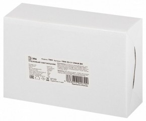 Светильник на штанге Эра  TRM-S5-3-12W4K-BK в Нягани - nyagan.ok-mebel.com | фото 8