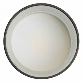 Светильник на штанге Feron ML1001 51371 в Нягани - nyagan.ok-mebel.com | фото 4