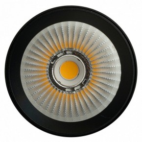 Светильник на штанге Feron TR Reflex 52059 в Нягани - nyagan.ok-mebel.com | фото 12