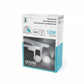 Светильник на штанге Gauss Track Light TR054 в Нягани - nyagan.ok-mebel.com | фото 5