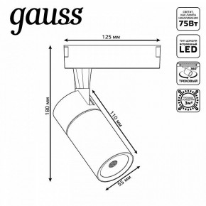 Светильник на штанге Gauss Track Light TR060 в Нягани - nyagan.ok-mebel.com | фото 5