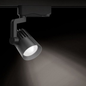 Светильник на штанге Gauss Track Light TR061 в Нягани - nyagan.ok-mebel.com | фото 2
