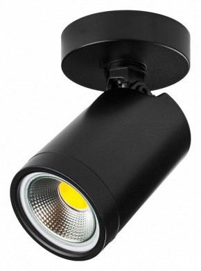 Светильник на штанге Lightstar Rullo 213407 в Нягани - nyagan.ok-mebel.com | фото