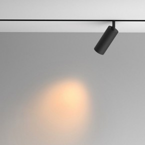 Светильник на штанге Maytoni Artisan TR097-2-12W2.7K-M-BB в Нягани - nyagan.ok-mebel.com | фото 4