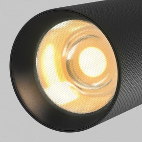 Светильник на штанге Maytoni Artisan TR097-2-12W2.7K-M-BB в Нягани - nyagan.ok-mebel.com | фото 9