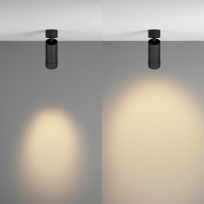 Светильник на штанге Maytoni Focus Zoom C055CL-L12W2.7K-Z-B в Нягани - nyagan.ok-mebel.com | фото 3