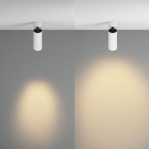 Светильник на штанге Maytoni Focus Zoom C055CL-L12W2.7K-Z-W в Нягани - nyagan.ok-mebel.com | фото 3