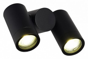 Светильник на штанге ST-Luce Ecollo SL9011.402.02 в Нягани - nyagan.ok-mebel.com | фото 3