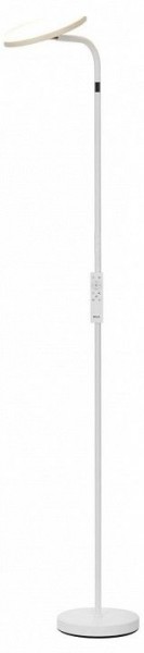 Торшер Citilux SOLO CL804060 в Нягани - nyagan.ok-mebel.com | фото
