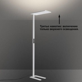 Торшер Novotech STUDI 359545 в Нягани - nyagan.ok-mebel.com | фото 6