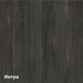Трувор Шкаф 13.204.01 в Нягани - nyagan.ok-mebel.com | фото 3