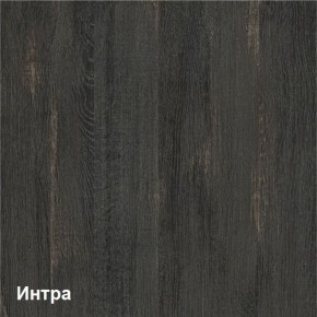 Трувор Шкаф-стеллаж 13.206 в Нягани - nyagan.ok-mebel.com | фото 4