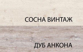 Тумба RTV 1D2SN, MONAKO, цвет Сосна винтаж/дуб анкона в Нягани - nyagan.ok-mebel.com | фото 3