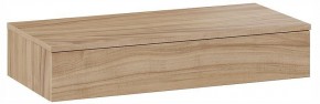 Тумбочка навесная ТД-102.08.02 в Нягани - nyagan.ok-mebel.com | фото 3