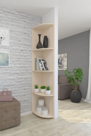 Угловой элемент (300*550*2200) в Нягани - nyagan.ok-mebel.com | фото