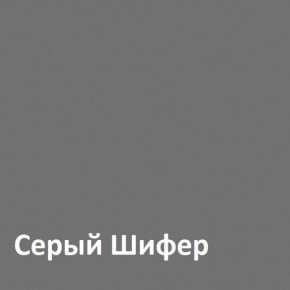 Юнона Шкаф торцевой 13.221 в Нягани - nyagan.ok-mebel.com | фото 2